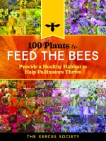 100 Plants to Feed the Bees