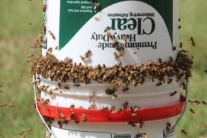 bucketswarm2