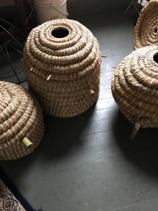 All three skeps with long entrance tubes. The hive furthest on the right has a cow horn on which the "beak" is clipped for entry.